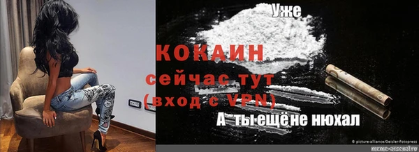 эйфоретик Богданович