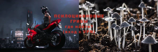 амф Белокуриха