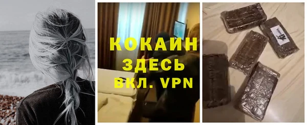 стаф Богородск