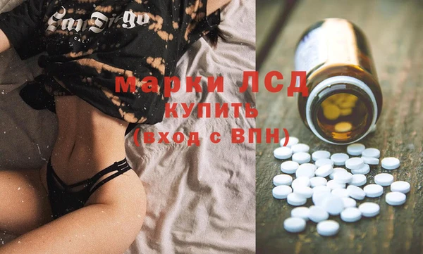 стаф Богородск