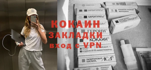 твердый Снежногорск