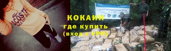 стаф Богородск
