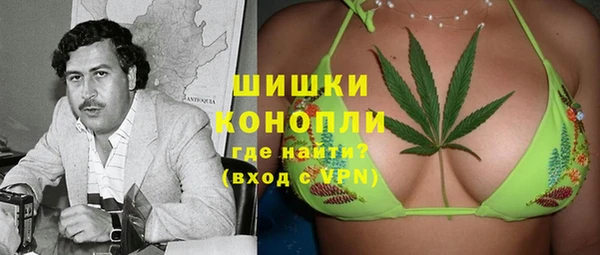 амф Белокуриха